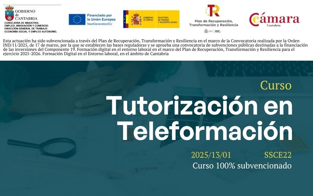 Tutorización en Teleformación